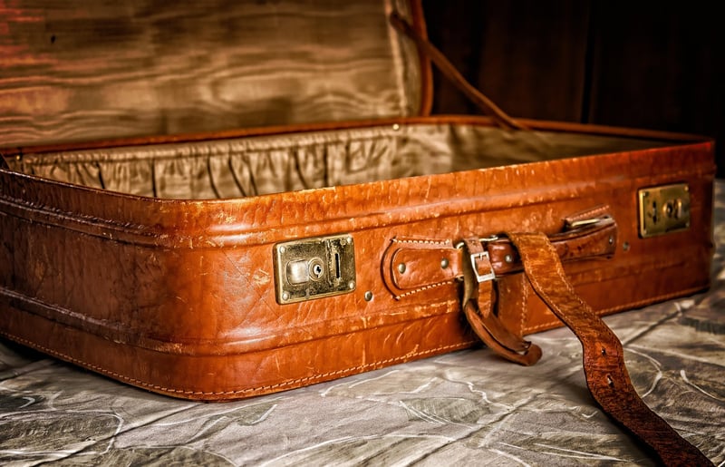 Vintage Suitcase with Plants